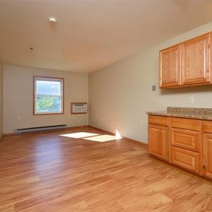 Sample apartment living room